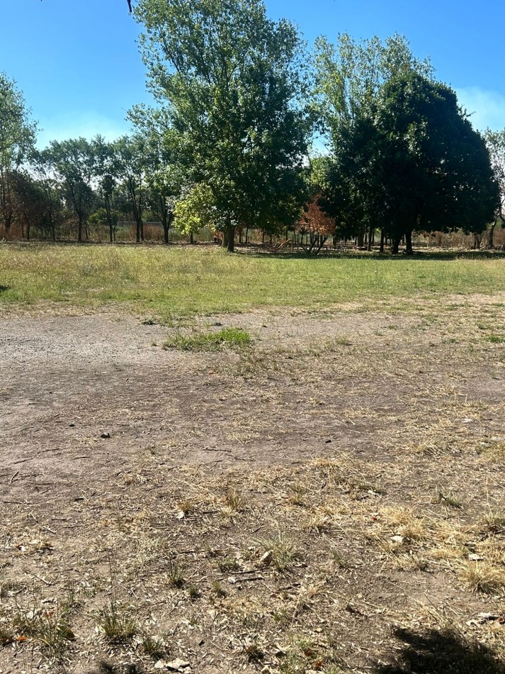 Campo en venta - La Capilla - parcelas o todo completo