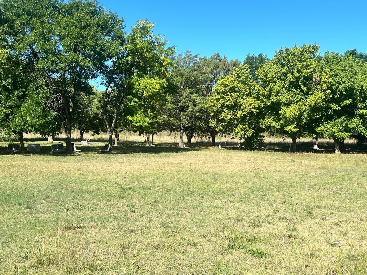 Campo en venta - La Capilla - parcelas o todo completo