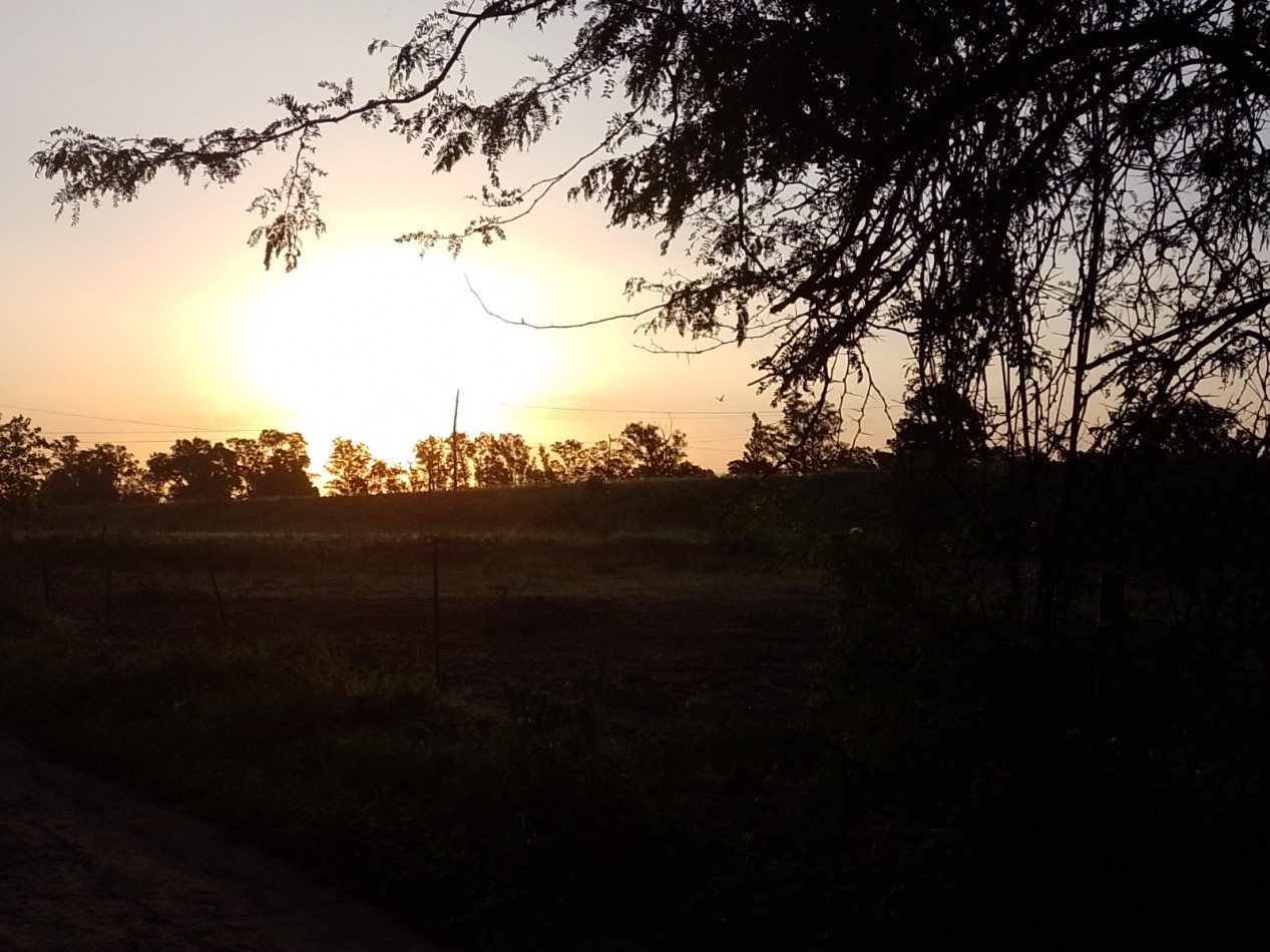 Lote en venta - Brandsen