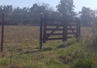 Lote en venta - Brandsen